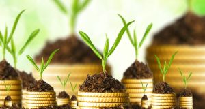 robobanking, online investment advisory platform, financial advisory platform